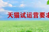 天貓試運營期間有哪些要求？