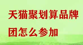 天貓聚劃算品牌團(tuán) 天貓聚劃算品牌團(tuán)