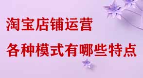 淘寶店鋪運營 淘寶店鋪運營