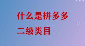 拼多多二級(jí)類目