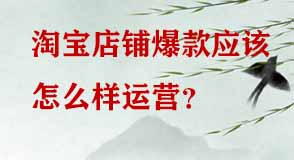 淘寶店鋪爆款應該怎么樣運營 淘寶店鋪爆款應該怎么樣運營