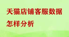 天貓店鋪客服數據