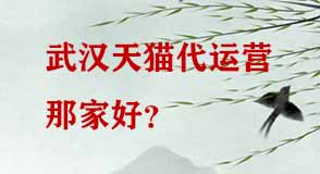武漢天貓代運營那家好 武漢天貓代運營那家好