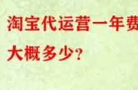 淘寶代運(yùn)營(yíng)一年費(fèi)用大概多少？