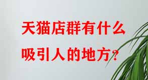 天貓店群有什么吸引人的地方 天貓店群有什么吸引人的地方