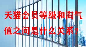 天貓代運(yùn)營(yíng)