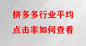 拼多多代運營 拼多多代運營