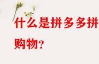 什么是拼多多拼單購物？