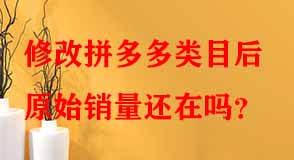 拼多多代運(yùn)營(yíng) 拼多多代運(yùn)營(yíng)