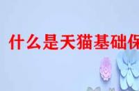 什么是天貓基礎保障？它的作用是什么？