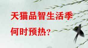 天貓代運(yùn)營 天貓代運(yùn)營