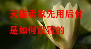 天貓代運營 天貓代運營