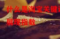 什么是淘寶關鍵詞展現指數？它的作用是什么？