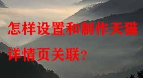 天貓代運(yùn)營