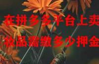 在拼多多平臺上賣化妝品需繳多少押金？