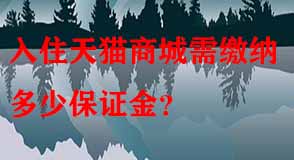 天貓代運(yùn)營(yíng)