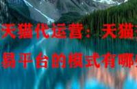 天貓代運(yùn)營：天貓交易平臺的模式有哪些？