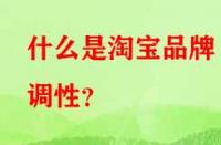 什么是淘寶品牌調(diào)性？