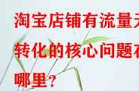 淘寶店鋪有流量無(wú)轉(zhuǎn)化的核心問(wèn)題在哪里？