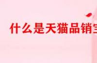 什么是天貓品銷寶（如何玩轉天貓品銷寶）