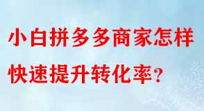 拼多多代運營 拼多多代運營