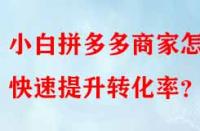 小白拼多多商家怎樣快速提升轉化率？