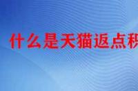 什么是天貓返點積分（天貓返點積分的規則是什么）