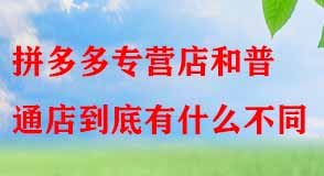 拼多多代運營 拼多多代運營