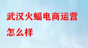 武漢火蝠電商運營怎么樣 武漢火蝠電商運營怎么樣