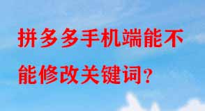 拼多多代運(yùn)營