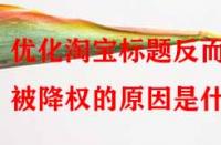 優化淘寶標題反而被降權的原因是什么？