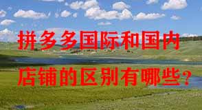 拼多多代運營 拼多多代運營