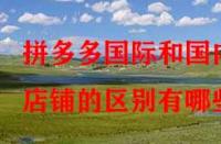 拼多多國際和國內(nèi)店鋪的區(qū)別有哪些？