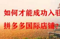 如何才能成功入駐拼多多國際店鋪？