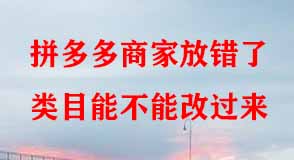 拼多多代運營 拼多多代運營