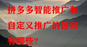 拼多多代運(yùn)營