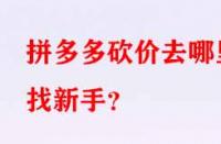 拼多多砍價去哪里找新手？