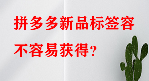 拼多多代運營 拼多多代運營