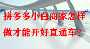 拼多多代運(yùn)營(yíng) 拼多多代運(yùn)營(yíng)