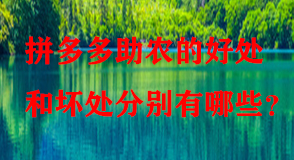 拼多多代運(yùn)營 拼多多代運(yùn)營