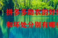 拼多多助農的好處和壞處分別有哪些？