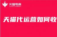代運營天貓店鋪的收費標(biāo)準(zhǔn)_天貓代運營怎么收費